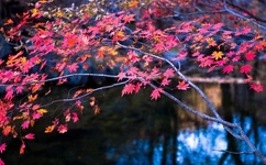 WRITE.AS 当众老师